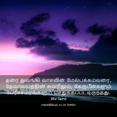 Picture 03 - எசேக்கியேல் 41:20 TAMIRV - தரை துவங்கி - Bible Verse Picture