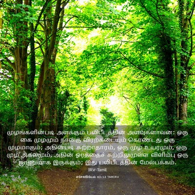 Picture 03 - எசேக்கியேல் 43:13 TAMIRV - முழங்களின்படி - Bible Verse Picture