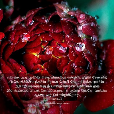 Picture 03 - எசேக்கியேல் 43:19 TAMIRV - எனக்கு ஆராதனை - Bible Verse Picture