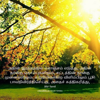 Picture 03 - எசேக்கியேல் 43:20 TAMIRV - அதின் இரத்தத்தில் - Bible Verse Picture
