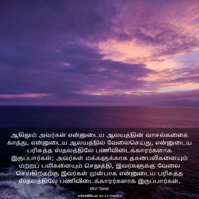 Picture 03 - எசேக்கியேல் 44:11 TAMIRV - ஆகிலும் அவர்கள் - Bible Verse Picture