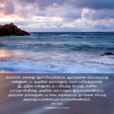 Picture 03 - எசேக்கியேல் 44:13 TAMIRV - அவர்கள் எனக்கு - Bible Verse Picture