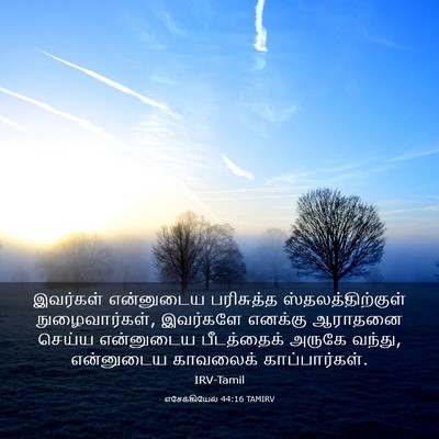 Picture 03 - எசேக்கியேல் 44:16 TAMIRV - இவர்கள் என்னுடைய - Bible Verse Picture