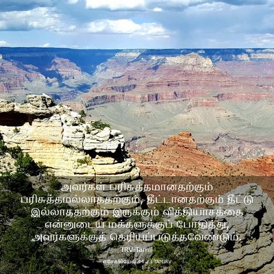 Picture 03 - எசேக்கியேல் 44:23 TAMIRV - அவர்கள் - Bible Verse Picture