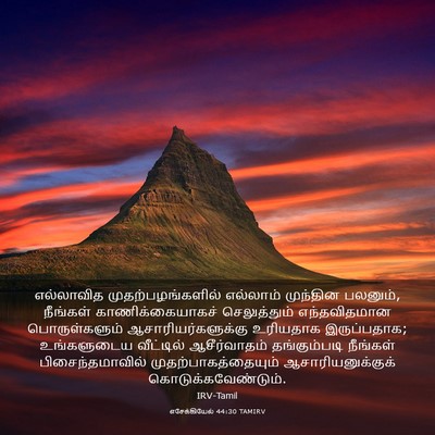Picture 03 - எசேக்கியேல் 44:30 TAMIRV - எல்லாவித - Bible Verse Picture