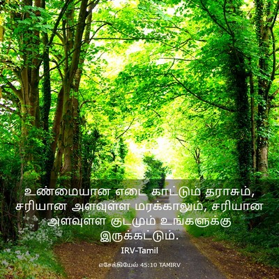 Picture 03 - எசேக்கியேல் 45:10 TAMIRV - உண்மையான எடை - Bible Verse Picture