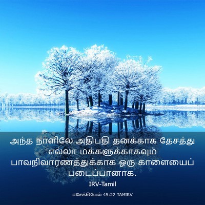 Picture 03 - எசேக்கியேல் 45:22 TAMIRV - அந்த நாளிலே - Bible Verse Picture