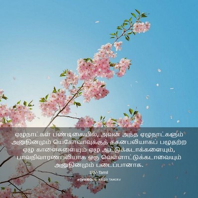 Picture 03 - எசேக்கியேல் 45:23 TAMIRV - ஏழுநாட்கள் - Bible Verse Picture
