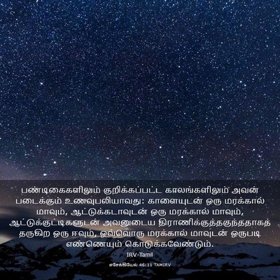 Picture 03 - எசேக்கியேல் 46:11 TAMIRV - பண்டிகைகளிலும் - Bible Verse Picture