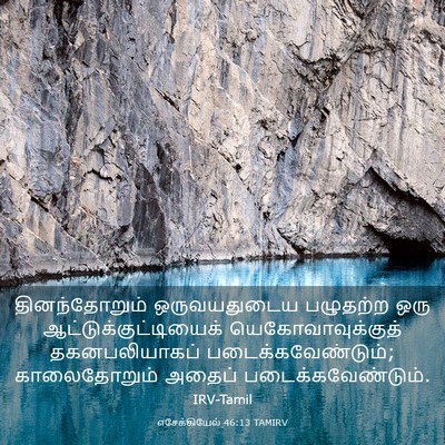 Picture 03 - எசேக்கியேல் 46:13 TAMIRV - தினந்தோறும் - Bible Verse Picture