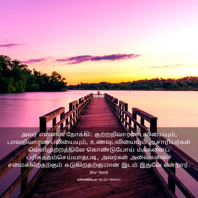Picture 03 - எசேக்கியேல் 46:20 TAMIRV - அவர் என்னை நோக்கி: - Bible Verse Picture
