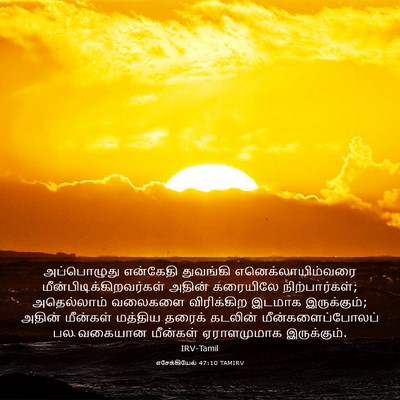 Picture 03 - எசேக்கியேல் 47:10 TAMIRV - அப்பொழுது என்கேதி - Bible Verse Picture