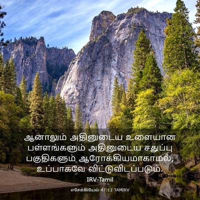 Picture 03 - எசேக்கியேல் 47:11 TAMIRV - ஆனாலும் அதினுடைய - Bible Verse Picture