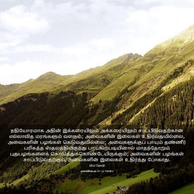 Picture 03 - எசேக்கியேல் 47:12 TAMIRV - நதியோரமாக அதின் - Bible Verse Picture