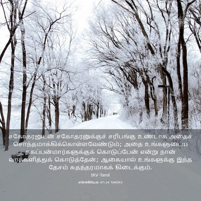 Picture 03 - எசேக்கியேல் 47:14 TAMIRV - சகோதரனுடன் - Bible Verse Picture
