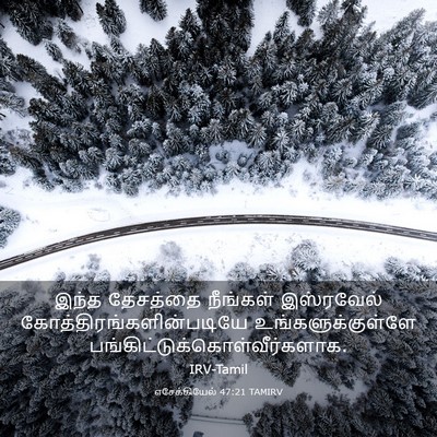 Picture 03 - எசேக்கியேல் 47:21 TAMIRV - இந்த தேசத்தை - Bible Verse Picture