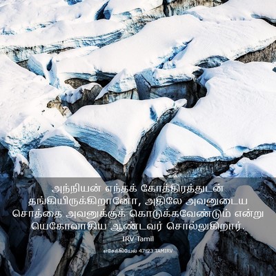 Picture 03 - எசேக்கியேல் 47:23 TAMIRV - அந்நியன் எந்தக் - Bible Verse Picture