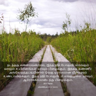 Picture 03 - எசேக்கியேல் 47:9 TAMIRV - நடந்தது - Bible Verse Picture