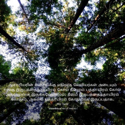Picture 03 - எசேக்கியேல் 48:13 TAMIRV - ஆசாரியரின் - Bible Verse Picture