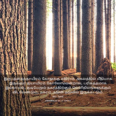 Picture 03 - எசேக்கியேல் 48:15 TAMIRV -  - Bible Verse Picture