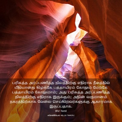 Picture 03 - எசேக்கியேல் 48:18 TAMIRV - பரிசுத்த - Bible Verse Picture