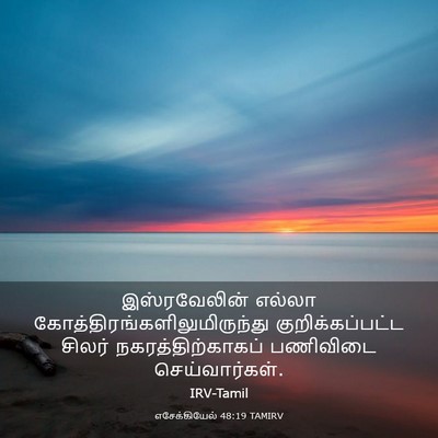 Picture 03 - எசேக்கியேல் 48:19 TAMIRV - இஸ்ரவேலின் எல்லா - Bible Verse Picture