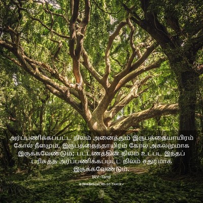Picture 03 - எசேக்கியேல் 48:20 TAMIRV -  - Bible Verse Picture