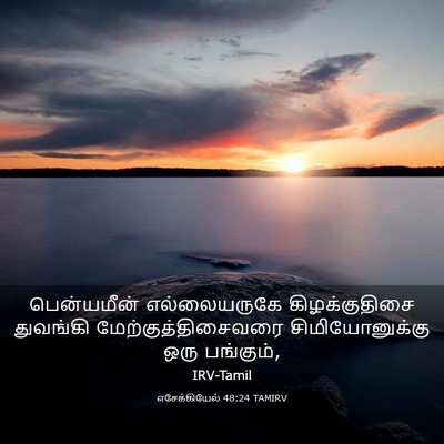 Picture 03 - எசேக்கியேல் 48:24 TAMIRV - பென்யமீன் - Bible Verse Picture