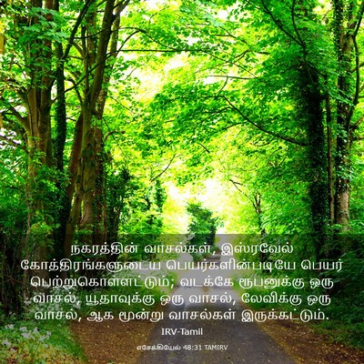 Picture 03 - எசேக்கியேல் 48:31 TAMIRV - நகரத்தின் - Bible Verse Picture