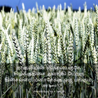 Picture 03 - எசேக்கியேல் 48:4 TAMIRV - நப்தலியின் - Bible Verse Picture