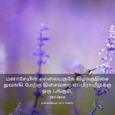Picture 03 - எசேக்கியேல் 48:5 TAMIRV - மனாசேயின் - Bible Verse Picture