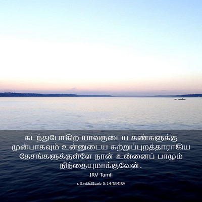 Picture 03 - எசேக்கியேல் 5:14 TAMIRV - கடந்துபோகிற - Bible Verse Picture
