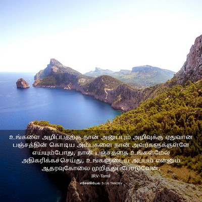 Picture 03 - எசேக்கியேல் 5:16 TAMIRV - உங்களை - Bible Verse Picture