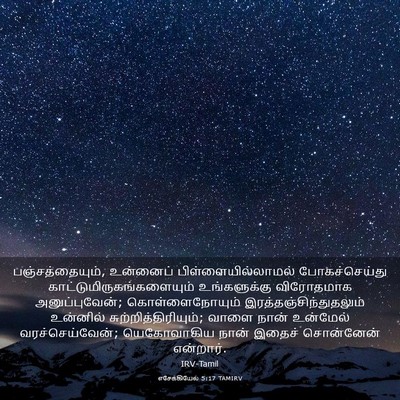 Picture 03 - எசேக்கியேல் 5:17 TAMIRV - பஞ்சத்தையும், - Bible Verse Picture