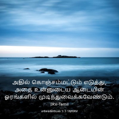 Picture 03 - எசேக்கியேல் 5:3 TAMIRV - அதில் - Bible Verse Picture