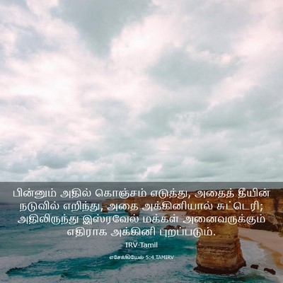 Picture 03 - எசேக்கியேல் 5:4 TAMIRV - பின்னும் அதில் - Bible Verse Picture