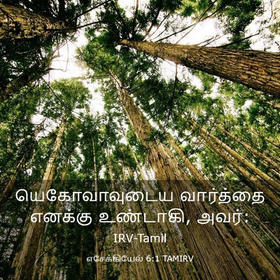 Picture 03 - எசேக்கியேல் 6:1 TAMIRV - யெகோவாவுடைய - Bible Verse Picture