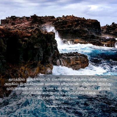Picture 03 - எசேக்கியேல் 6:12 TAMIRV - தூரத்தில் - Bible Verse Picture