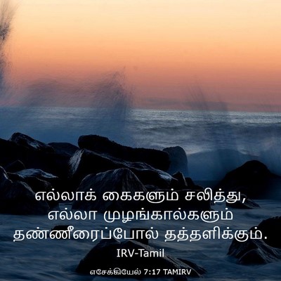 Picture 03 - எசேக்கியேல் 7:17 TAMIRV - எல்லாக் கைகளும் - Bible Verse Picture
