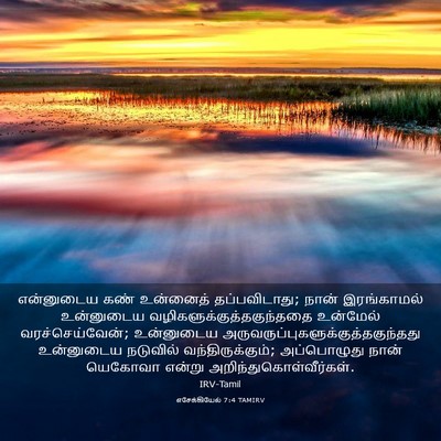 Picture 03 - எசேக்கியேல் 7:4 TAMIRV - என்னுடைய கண் - Bible Verse Picture