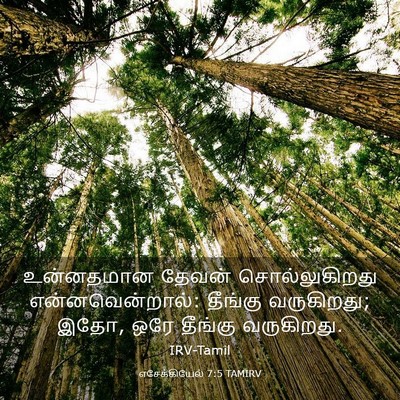 Picture 03 - எசேக்கியேல் 7:5 TAMIRV - உன்னதமான தேவன் - Bible Verse Picture