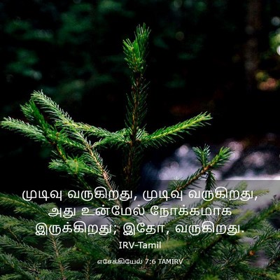 Picture 03 - எசேக்கியேல் 7:6 TAMIRV - முடிவு வருகிறது, - Bible Verse Picture