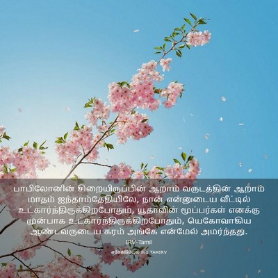 Picture 03 - எசேக்கியேல் 8:1 TAMIRV - பாபிலோனின் - Bible Verse Picture