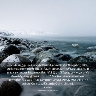 Picture 03 - எசேக்கியேல் 8:12 TAMIRV - அப்பொழுது அவர் - Bible Verse Picture