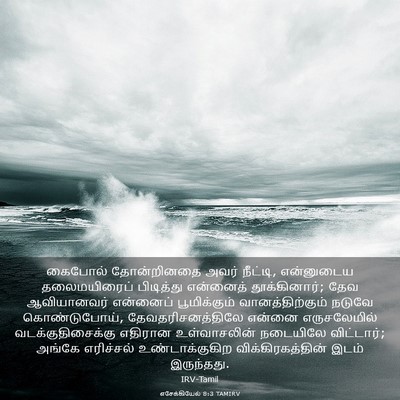 Picture 03 - எசேக்கியேல் 8:3 TAMIRV - கைபோல் தோன்றினதை - Bible Verse Picture