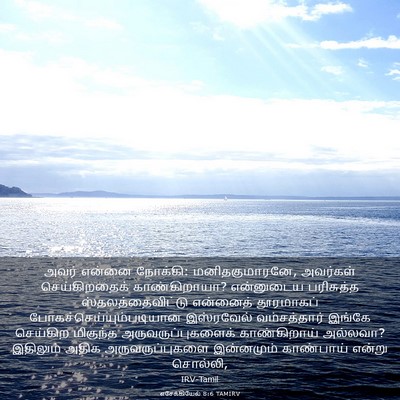 Picture 03 - எசேக்கியேல் 8:6 TAMIRV - அவர் என்னை நோக்கி: - Bible Verse Picture