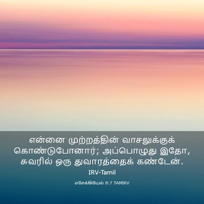Picture 03 - எசேக்கியேல் 8:7 TAMIRV - என்னை முற்றத்தின் - Bible Verse Picture