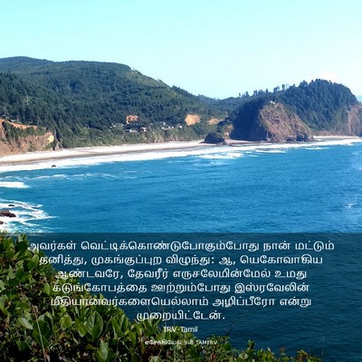 Picture 03 - எசேக்கியேல் 9:8 TAMIRV - அவர்கள் - Bible Verse Picture