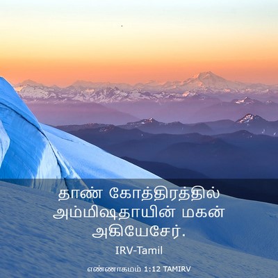 Picture 03 - எண்ணாகமம் 1:12 TAMIRV - தாண் - Bible Verse Picture