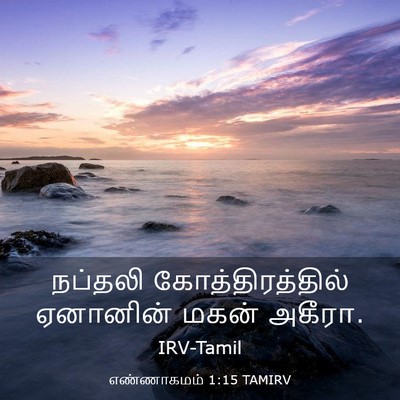 Picture 03 - எண்ணாகமம் 1:15 TAMIRV - நப்தலி - Bible Verse Picture